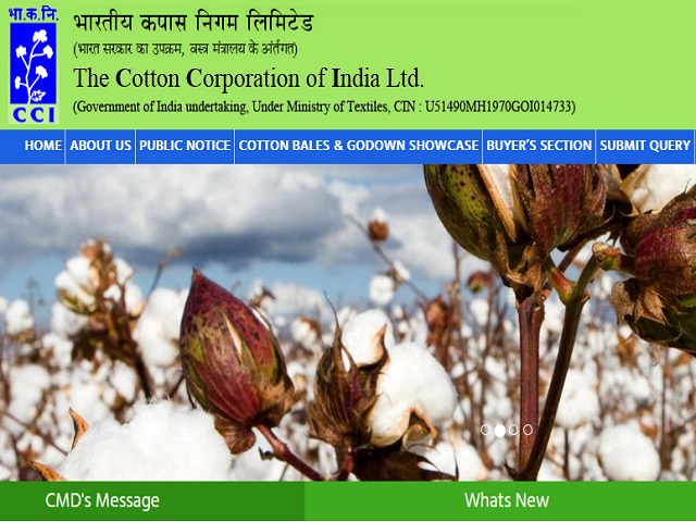 CCI भर्ती 2021: 482 अप्रेंटिस पदों की वेकेंसी के लिए apprenticeshipindia.org पर ऑनलाइन आवेदन करें